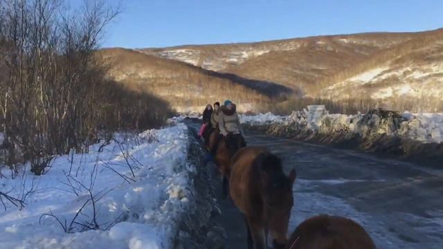 КАМЧАТКА лошадь океан КАМЧАТКА 2016 2017 зима смотреть онлайн
