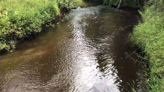 Рыбалка и тихая охота на севере республики Коми/fishing/hunt смотреть онлайн