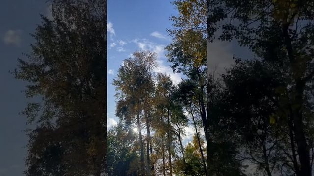 #осеньвгороде#прогулкапопарку#дождалисьсолнышка#отличнаяпогода#любимаядоченька#осеньвпитере смотреть онлайн