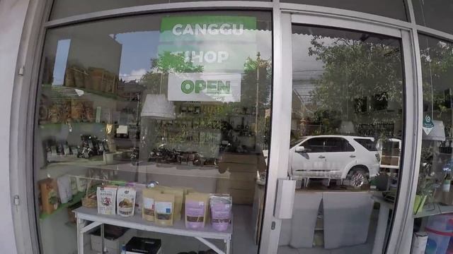 Лучший SPA на Бали. Что можно купить в Canggu Shop. Вечеринка на пляже | BALI VLOG #4 смотреть онлайн