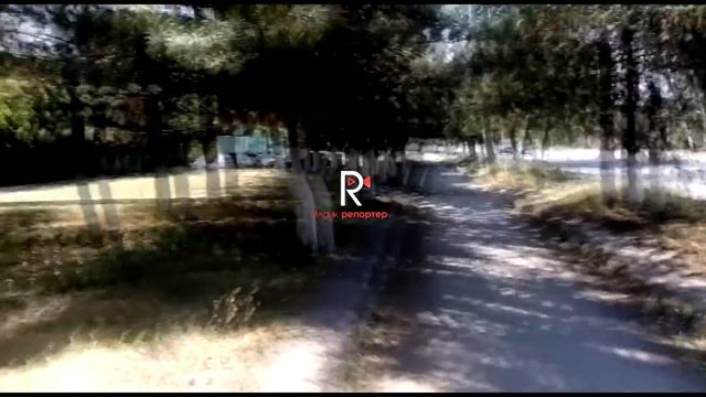 Токмок: аллеядагы бак-дарактарга суу жетпей куурап жатат смотреть онлайн