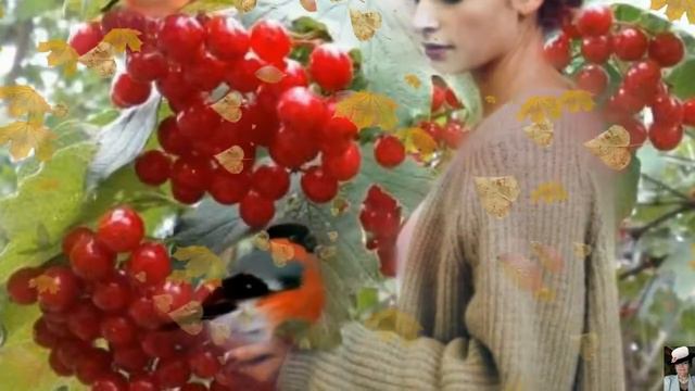 Эх калина горькая - поёт и монтаж А. Киселёва- Васильева