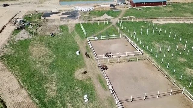 Конная полиция