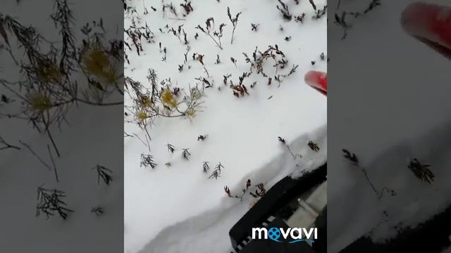 Миниснегоход Хаски, тест-драйв. смотреть онлайн