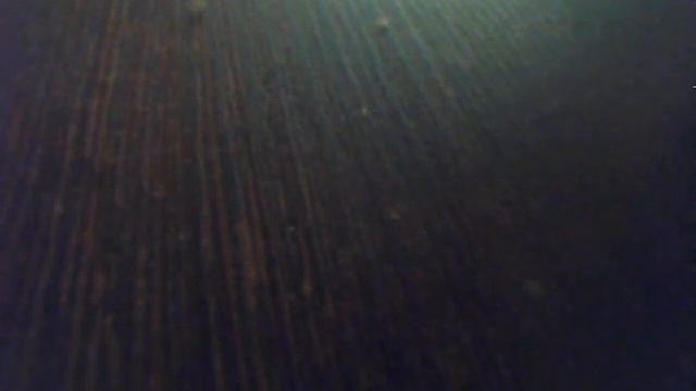 Пеппи Длинныйчулок. Часть 3. Глава 3. Как Пеппи ищет кукарямбу. смотреть онлайн