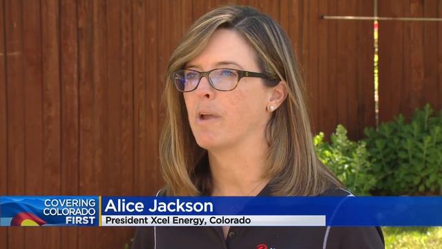 Xcel Energy Customers Will Receive New Smart Meters To Track 'Real-Time' Usage Information смотреть онлайн