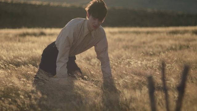 Власть пса (2021)