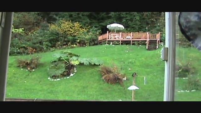 Hobbes 2 - Port Moody Bobcat смотреть онлайн