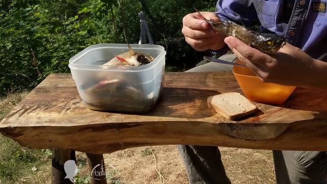 Изба адвоката Егорова экспедиция 2018 первая неделя из 20 дней отпуска смотреть онлайн