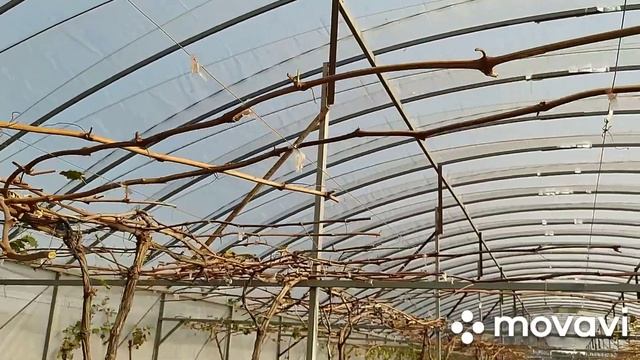 ПОДКОРМОЧНЫЙ УЗЕЛ, РАССАДА ДЛЯ РАЗВЕДЕНИЯ смотреть онлайн