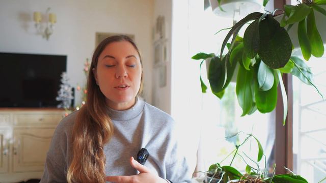 cosa fare se ti regalano un’orchidea, dove metterla, come tenerla, come innaffiarla смотреть онлайн