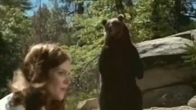 Sure Deodorant 'How Kate Tricked the Bear' смотреть онлайн