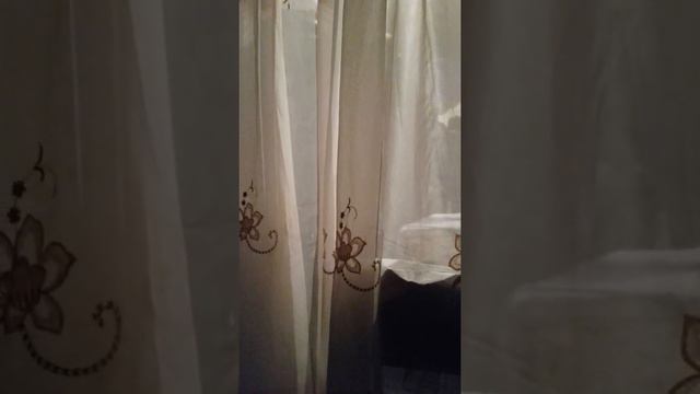 Павлодар Толстого 104 смотреть онлайн
