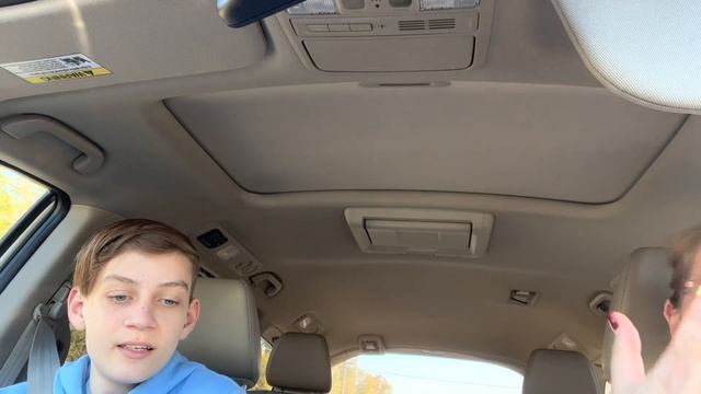 Лев выучил новые русские слова/влог 228 смотреть онлайн