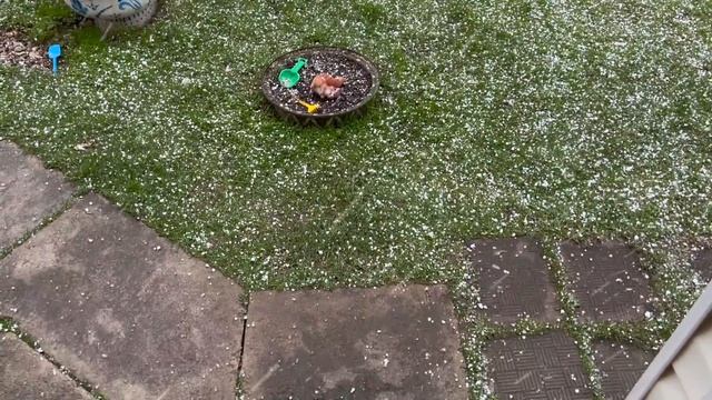 влог: ВЫЖИВАЕМ НА ДАЧЕ С КОТАМИ БЕЗ ВОДЫ В ХОЛОД! У БИЛЛИ ПАНИКА! смотреть онлайн