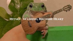 ТОП 3 ПЕСНИ В СТИЛЕ goblin core✨🐸🍃