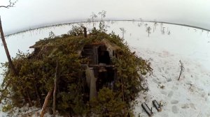 Охота на гуся на севере  Весна