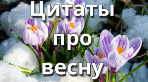Цитаты про весну