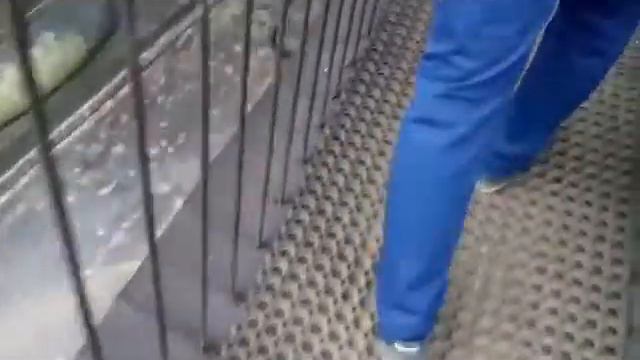 Ездили в Исакивский собор смотреть онлайн