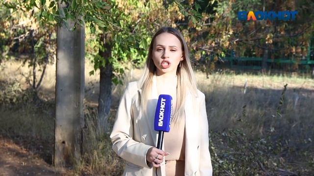 Разбитые дороги и отсутствие детских площадок: страшные секреты 8 микрорайона в Волжском смотреть онлайн