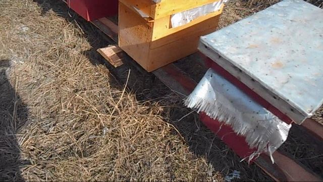 Весенние работы на Пасеке смотреть онлайн