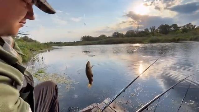 Ловля карася на червяка ? смотреть онлайн