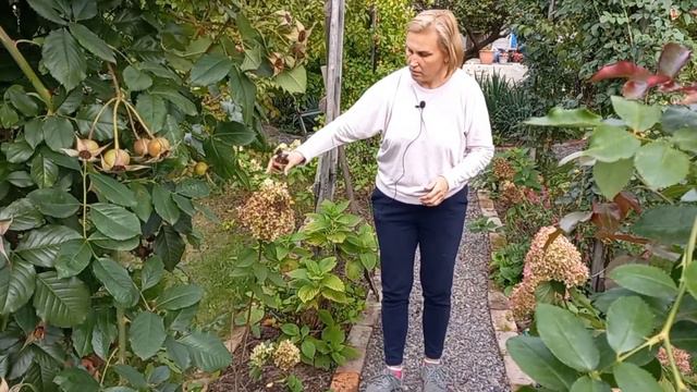 КВІТНИК з НУЛЯ за КОПІЙКИ продовжую саджати#квітник#квітникзнулязакопійки#цветникснуля#цветы#квіти смотреть онлайн