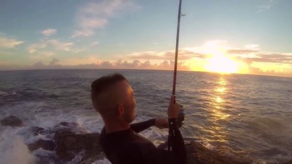 Catch and Release Fishing for Pelagic Fish