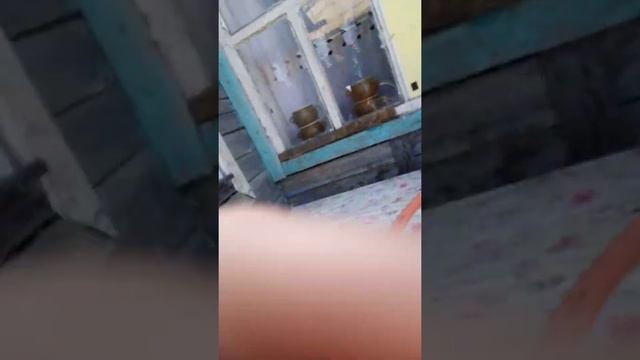 Топ как сделать водяную бомбу смотреть онлайн