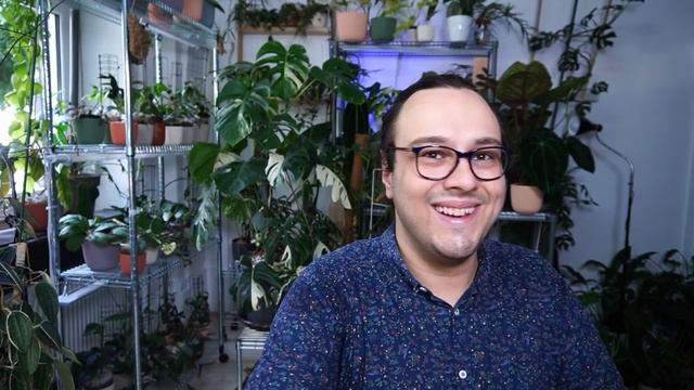 Fixing my Hoya imbricata смотреть онлайн