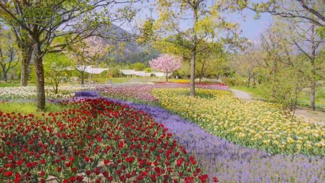 Reiki 1 Minute Timer ~ Reiki Healing Music With 1 Min Timer