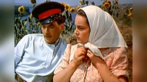 Тихий Дон. 1 книга. 1 часть. Краткое содержание