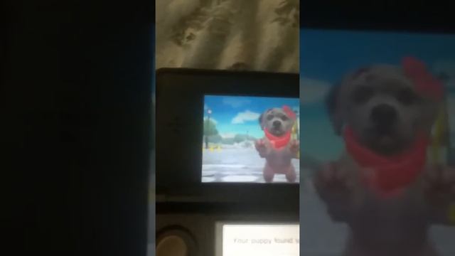 Nintendogs+cats secret path! смотреть онлайн