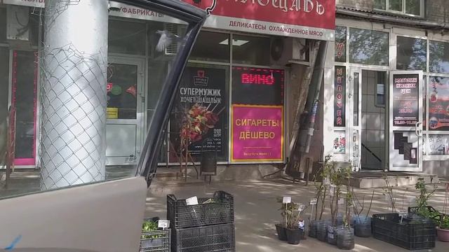 Про луковую муху,про бабку уборщицу и ветеринаров.?♀️?♀️?♀️ смотреть онлайн