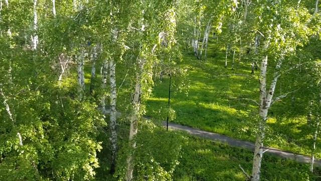 квартира в мкр. Юбилейном, с видом на березовую рощу. смотреть онлайн