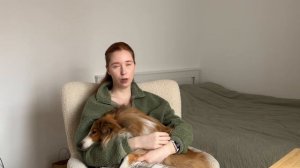 Как привезти собаку в Сербию? | Болтаю и показываю на перелет с собакой | Дашинвлог 2