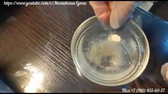 Таинственные альбиносы. Часть 5. Кормление гриндалем. смотреть онлайн
