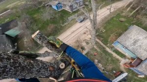 Арбористика | разбор дерева частями с завесом