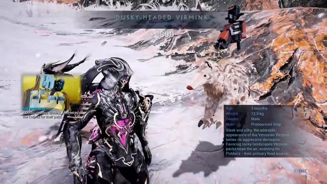 Warframe: Fortuna Standing Guide | VENTKIDS, VOX SOLARIS, SOLARIS UNITED смотреть онлайн