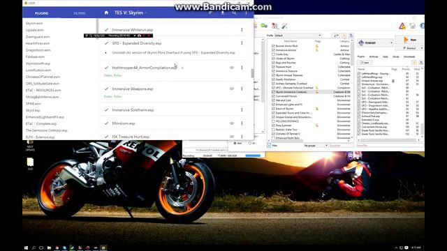 How To: Cleaning Skyrim Mods With Mod Organizer
