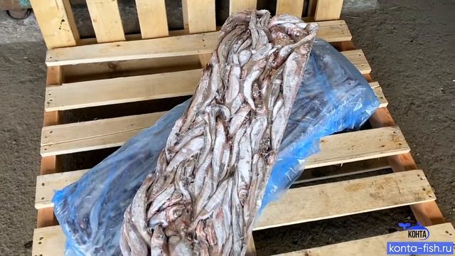 Путассу северная 21+см, с/м, с/г, н/р. Фасовка 33кг. смотреть онлайн