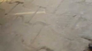 БЫСТРАЯ замена передних колодок на AUDI A6 C6