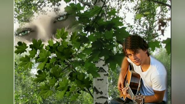 кудрявый клен. смотреть онлайн