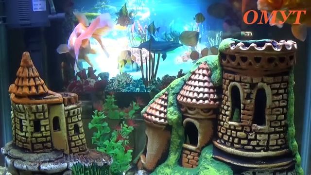 237. УСИЛЕНИЕ К 215 СЮЖЕТУ... И ВАШИ КОММЕНТЫ... смотреть онлайн