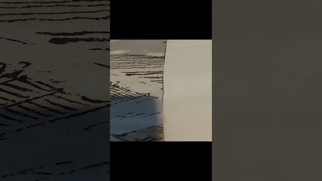 паспорт моники