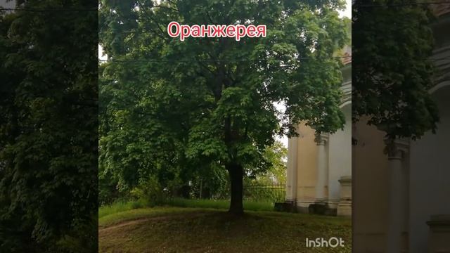 Пока парк закрыт. Оранжерея в Павловске. смотреть онлайн