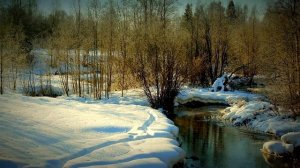 Люблю природу русскую. Весна