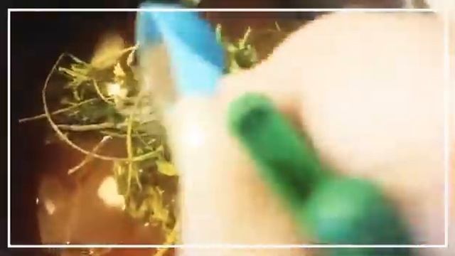 Постный рецепт. Суп с томатами в собственном соку в мультиварке. смотреть онлайн