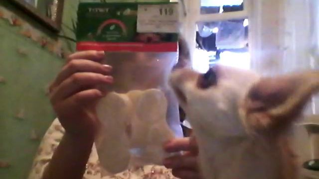 Покупки из зоомагазина с моей подругой) смотреть онлайн