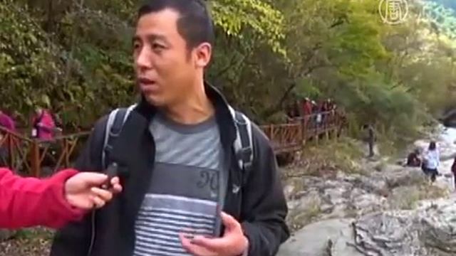 Уникальный случай - дикая панда вышла к людям. Редкое видео панды смотреть онлайн